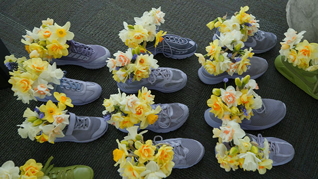 Download a zipped file of promotional materials in the Additional Assets section below.